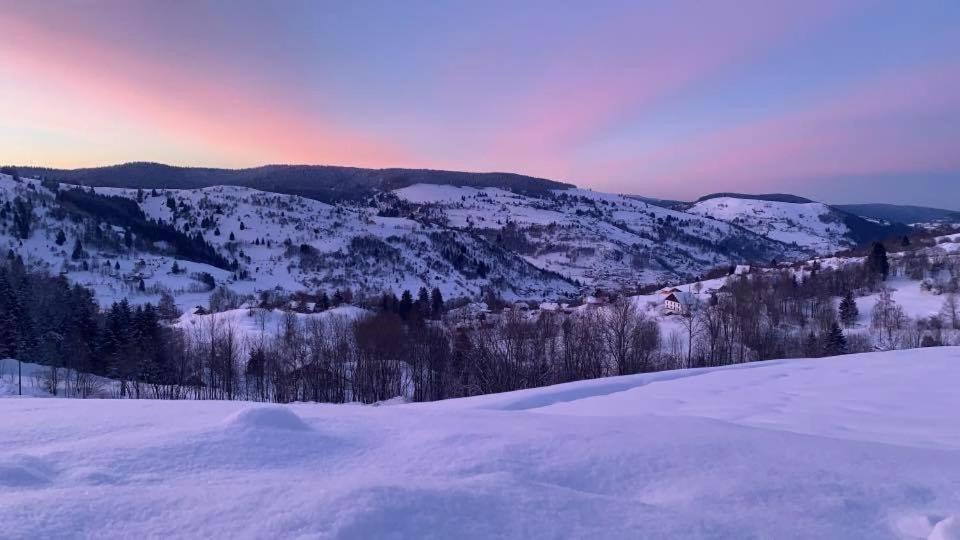 Le gîte de mon grand père La Bresse Esterno foto